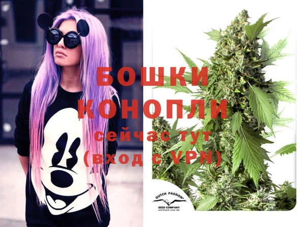 ешки Алексеевка